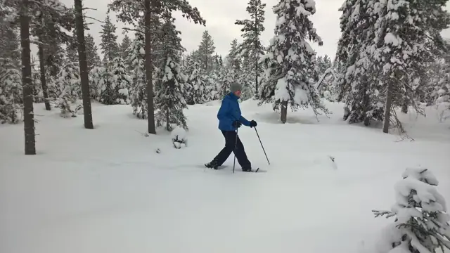 Snowshoeing in snowy forest